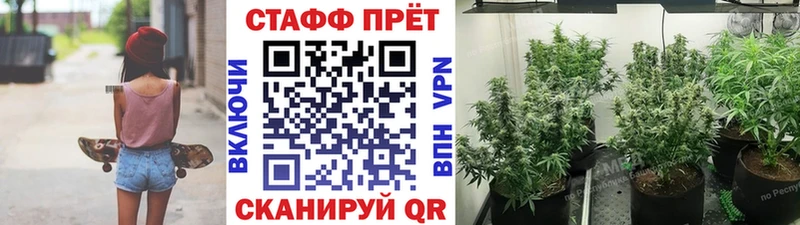 A PVP Серафимович